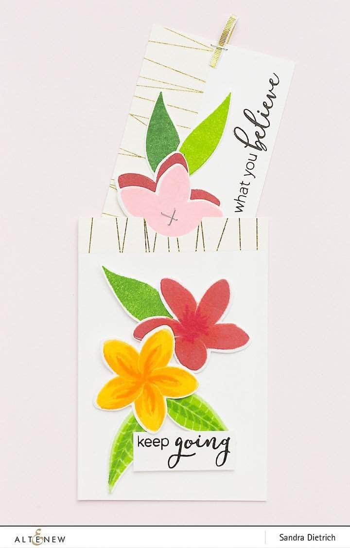 Photocentric Clear Stamps Playful Plumeria Stamp Set