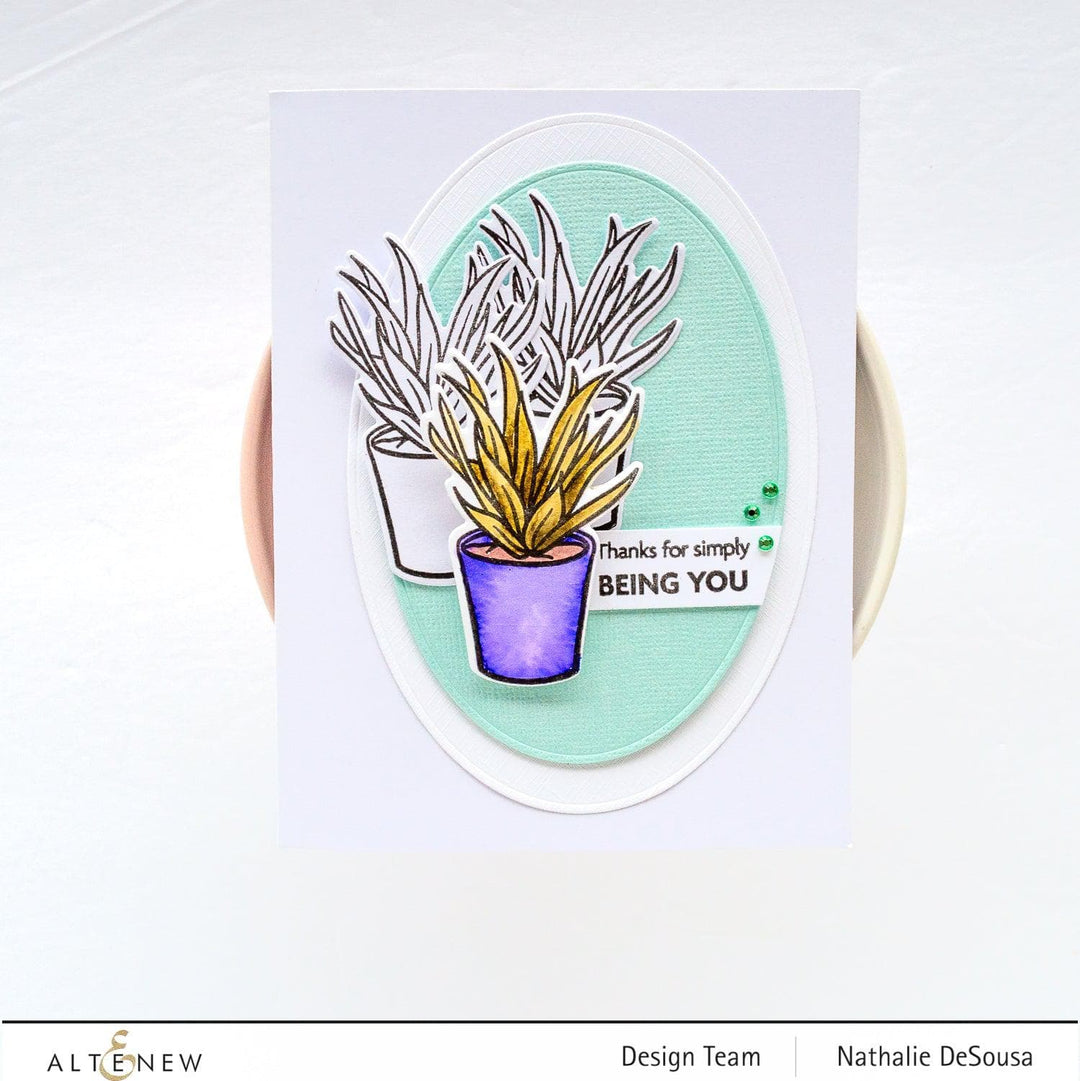 Photocentric Clear Stamps Potted Succulent Stamp Set