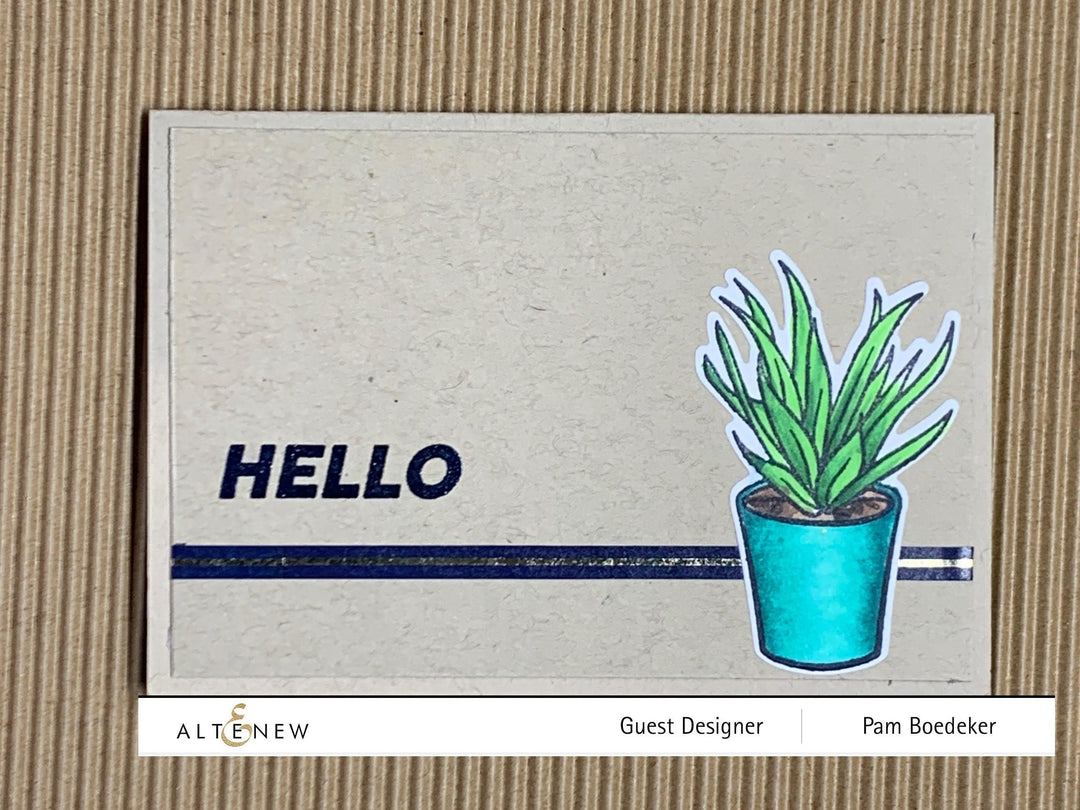 Photocentric Clear Stamps Potted Succulent Stamp Set
