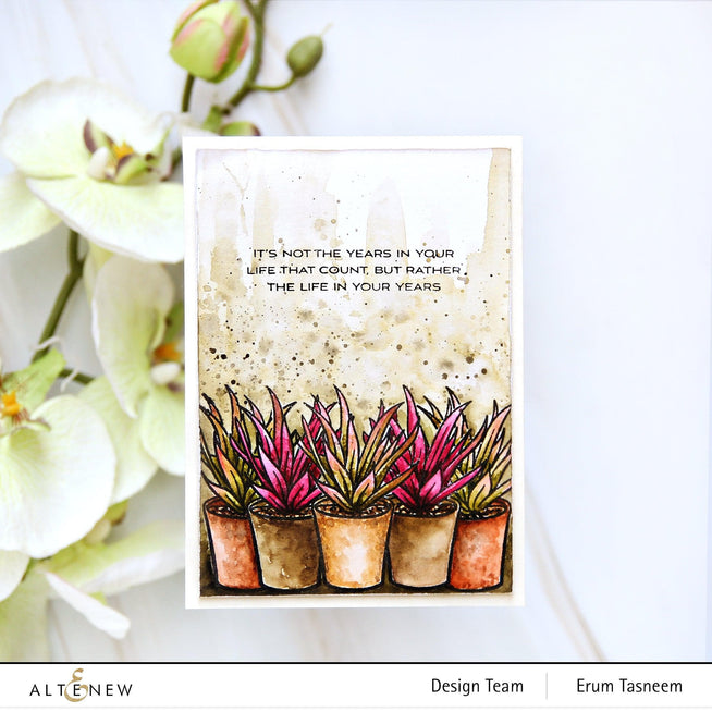 Photocentric Clear Stamps Potted Succulent Stamp Set