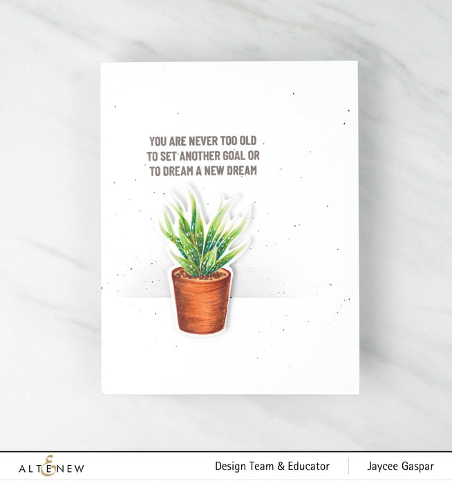 Photocentric Clear Stamps Potted Succulent Stamp Set