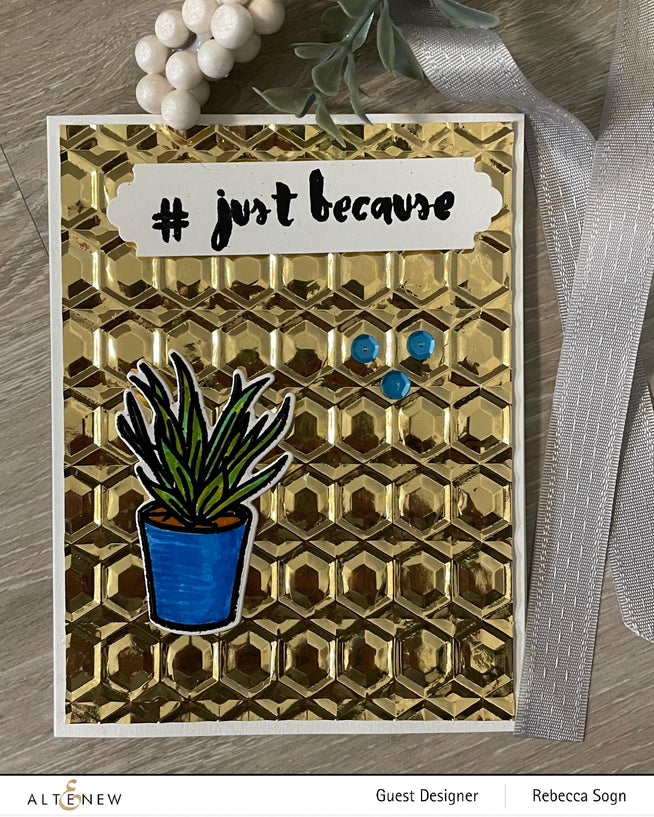 Photocentric Clear Stamps Potted Succulent Stamp Set