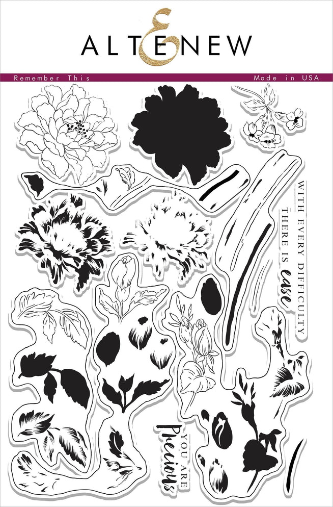 Photocentric Clear Stamps Remember This Stamp Set