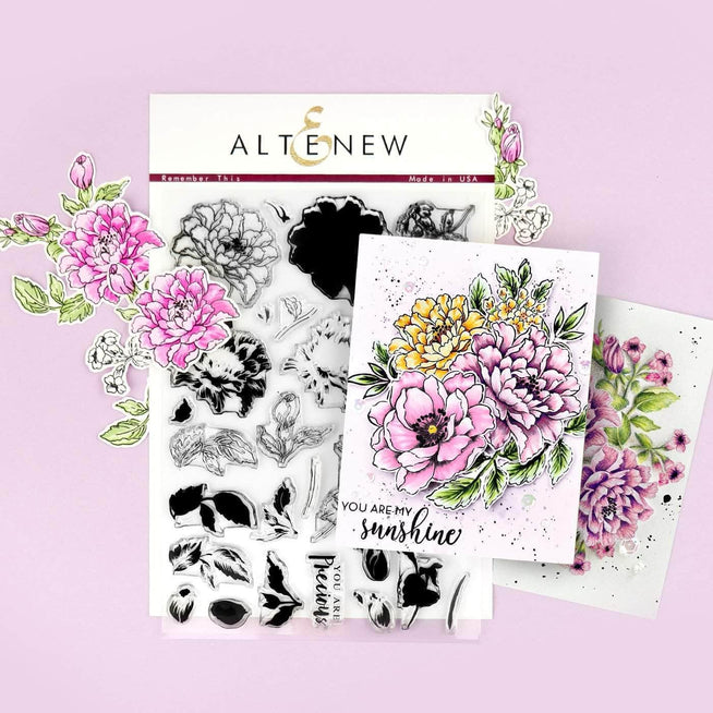 Photocentric Clear Stamps Remember This Stamp Set