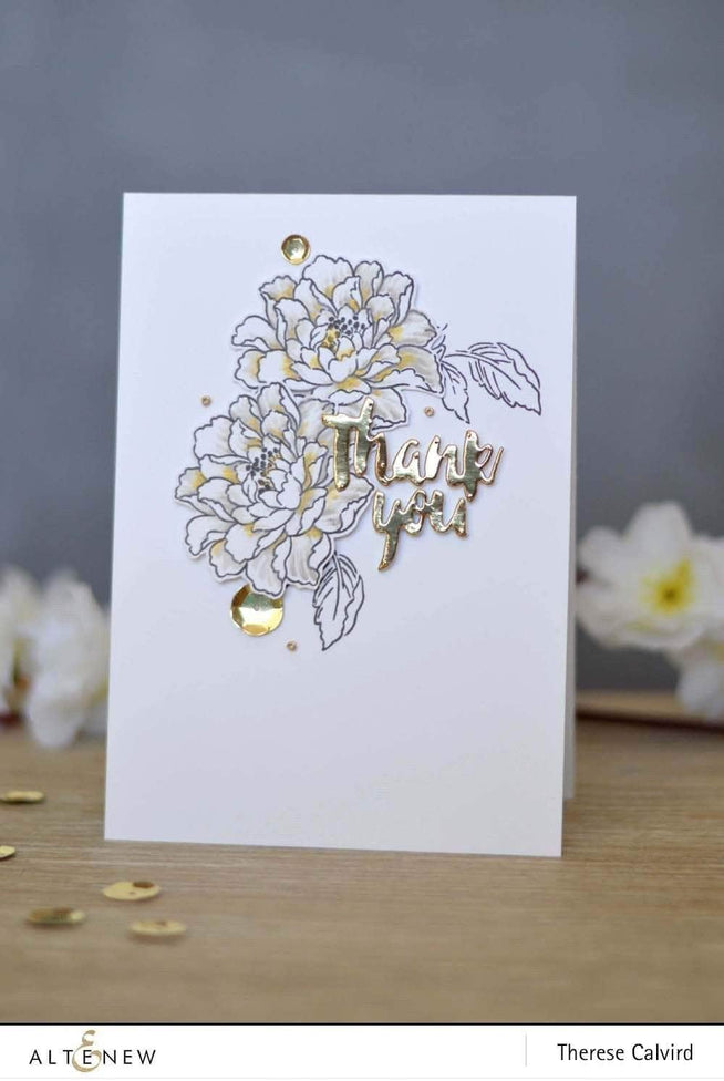 Photocentric Clear Stamps Remember This Stamp Set