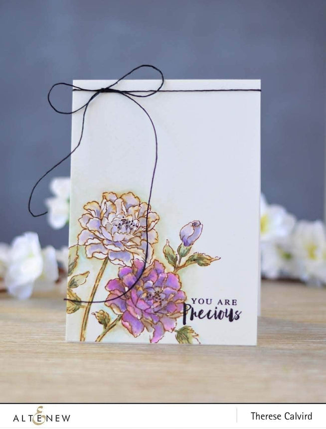Photocentric Clear Stamps Remember This Stamp Set