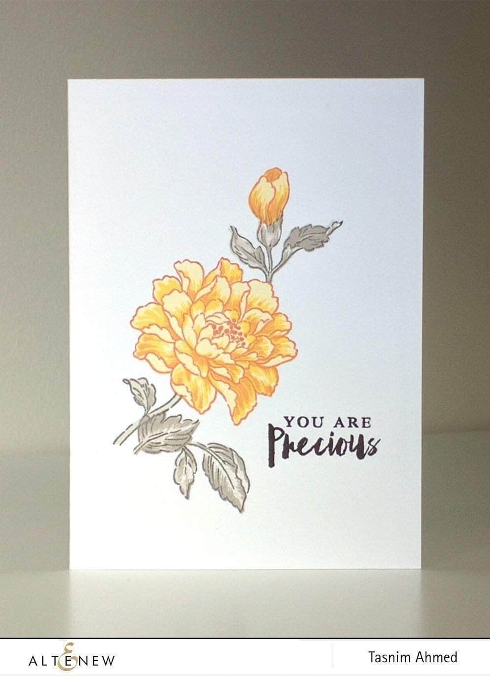 Photocentric Clear Stamps Remember This Stamp Set