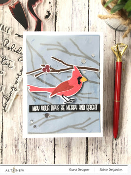 Photocentric Clear Stamps Season's Tweetings Stamp Set