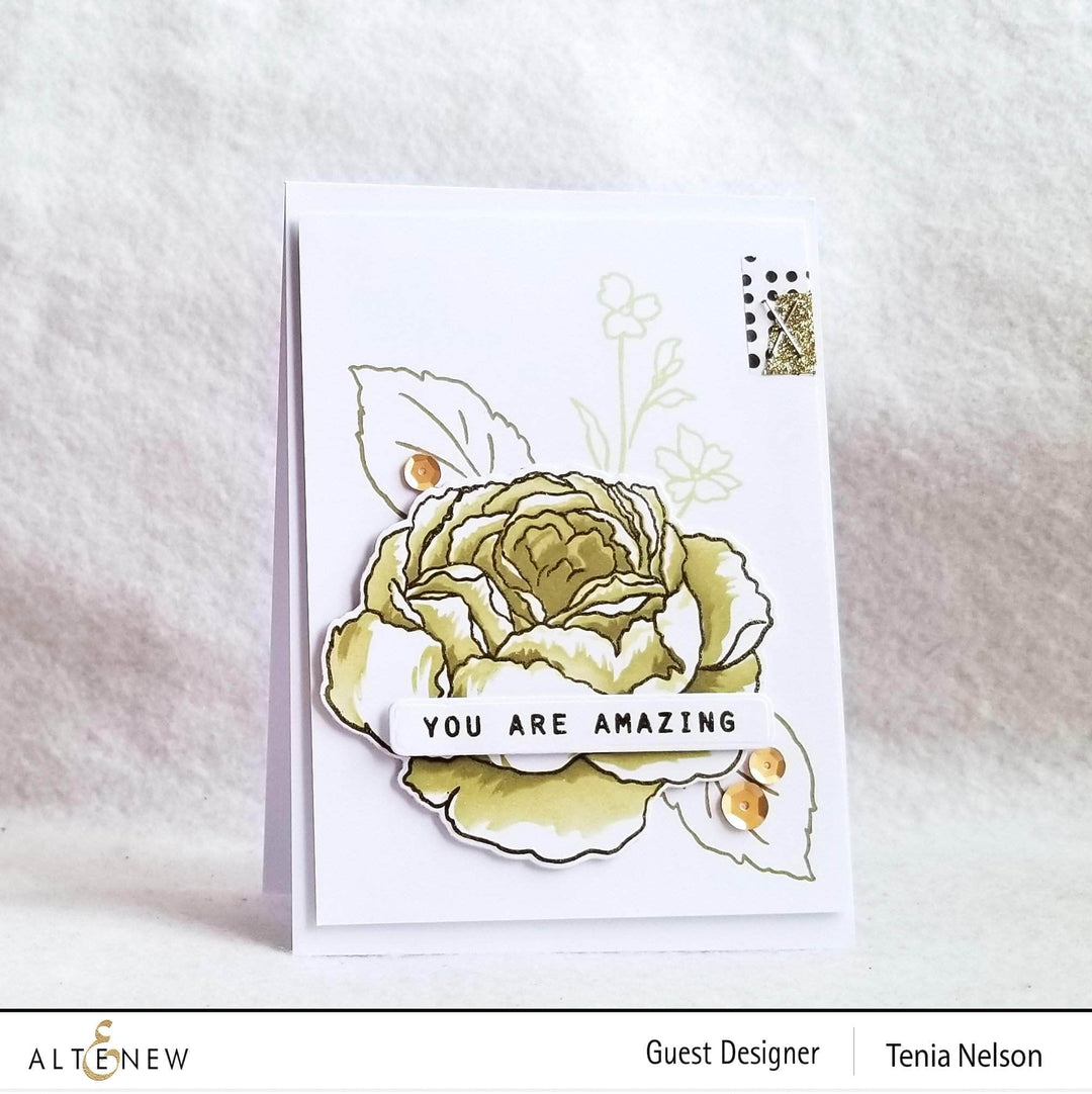 Photocentric Clear Stamps Tranquility Rose Stamp Set
