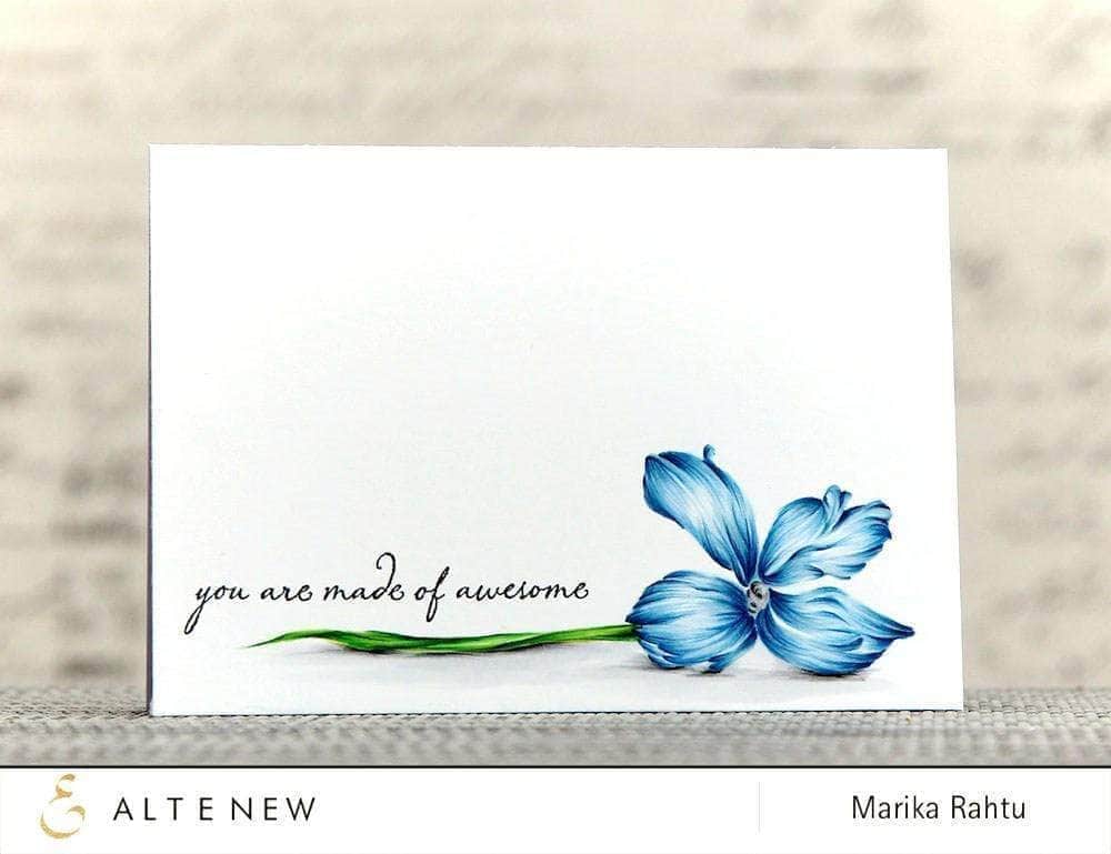 Photocentric Clear Stamps Wild Hibiscus Stamp Set