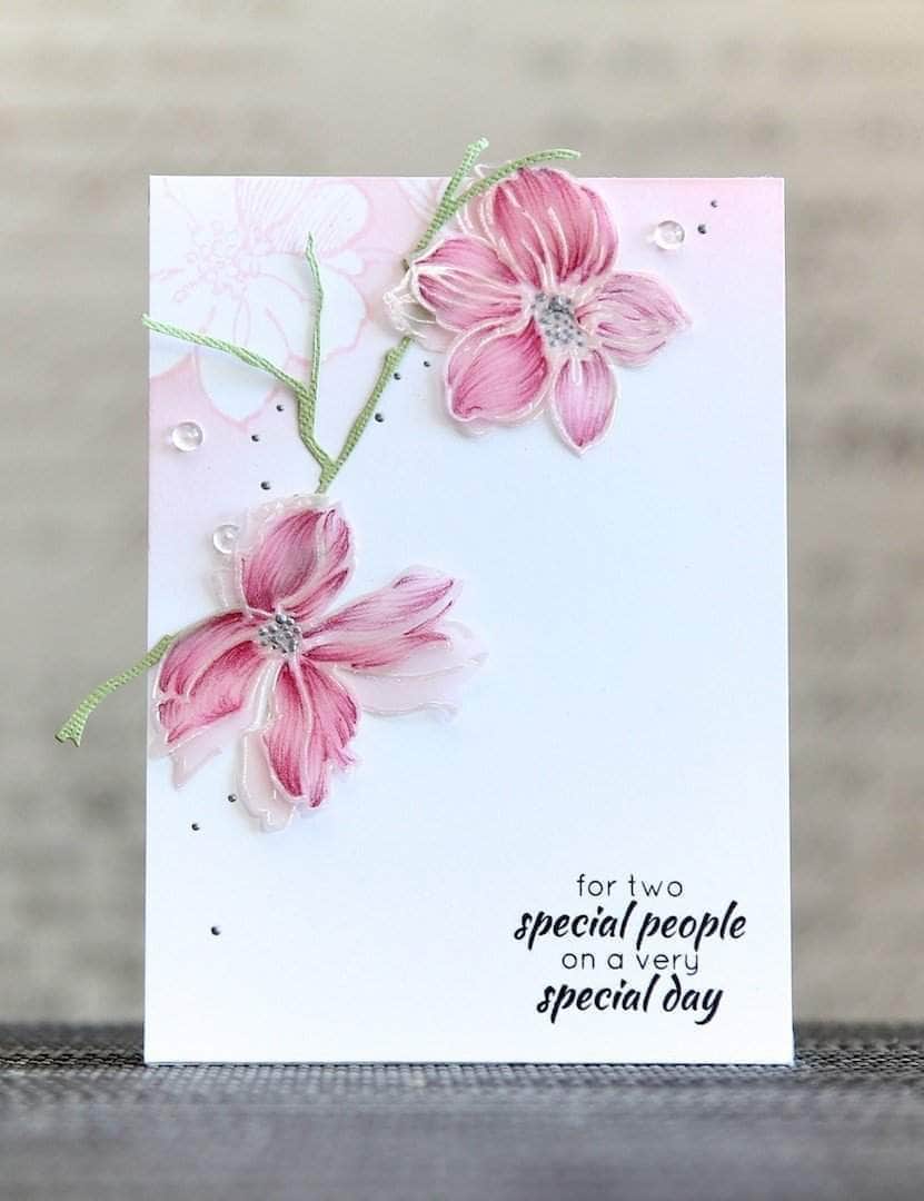 Photocentric Clear Stamps Wild Hibiscus Stamp Set
