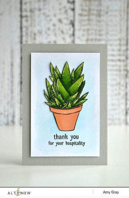Photocentric Clear Stamps Succulents Stamp Set