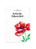 Kiaace Co. Ltd. Coloring Book Watercolor Coloring Book