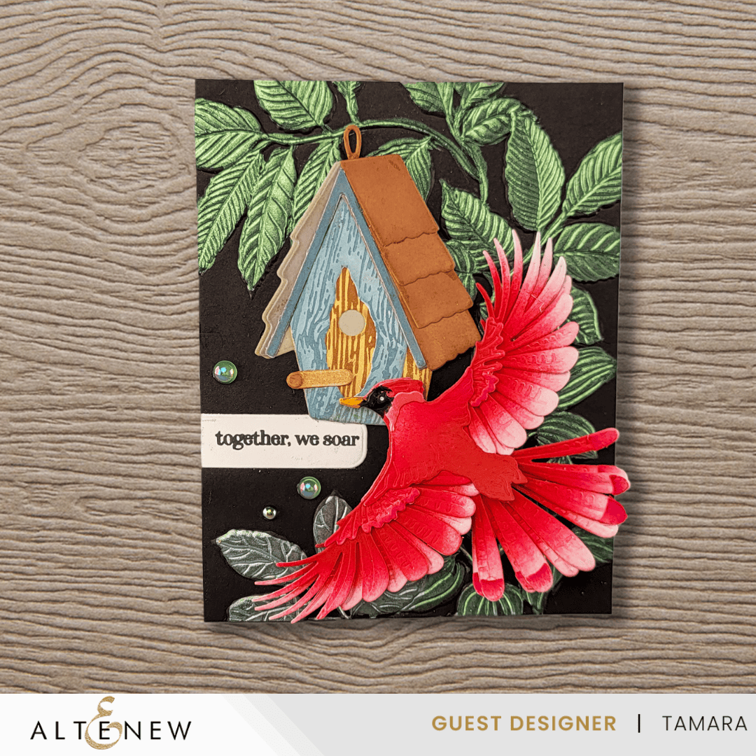 Craft Your Life Project Kit: Arched Foliage & Add-on Embossing Folder Bundle