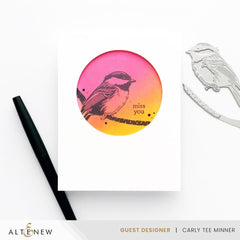 Chickadee Chirps