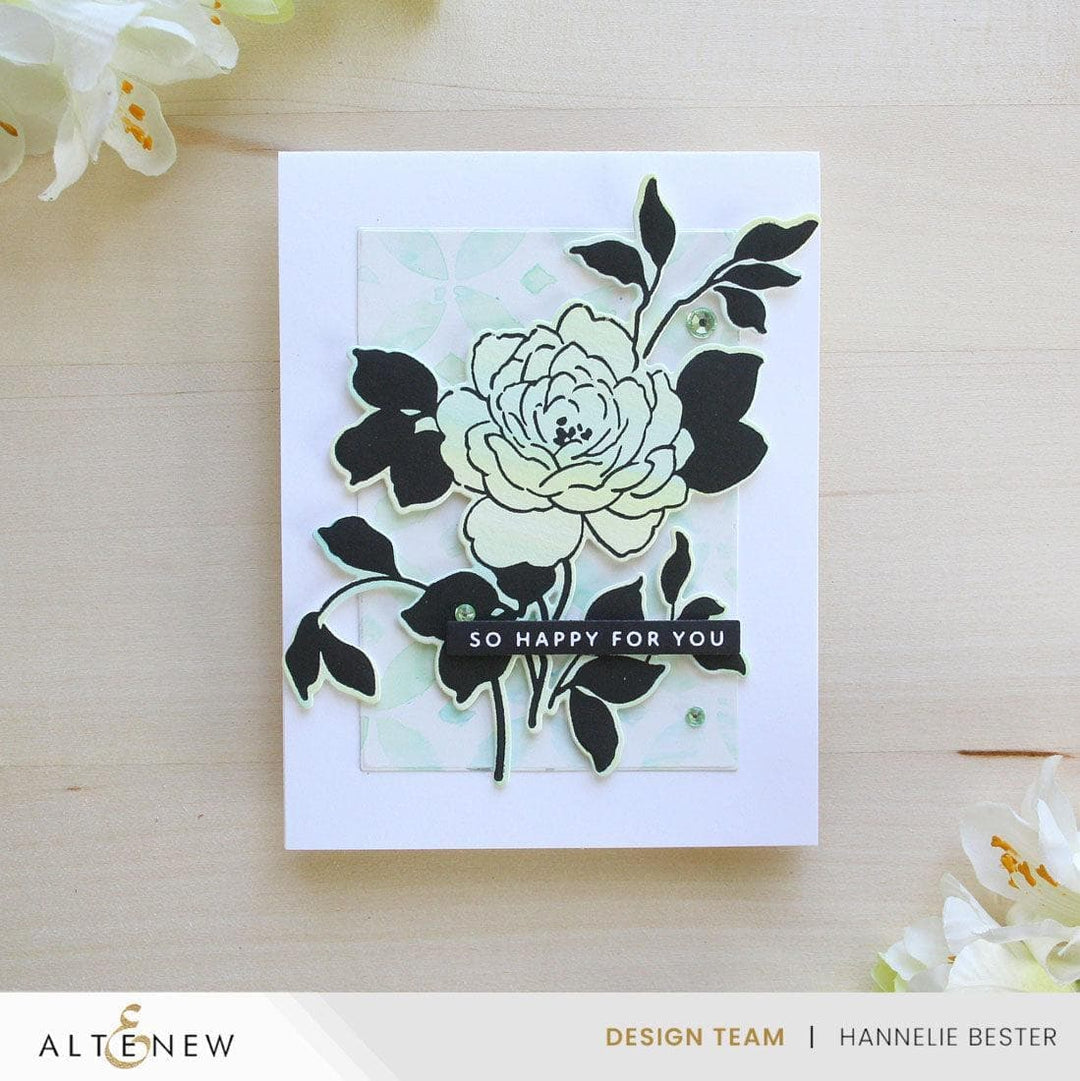 Solid Sentiments Complete Bundle