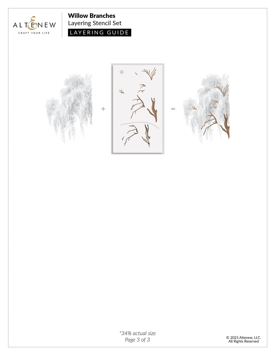 Willow Branches
