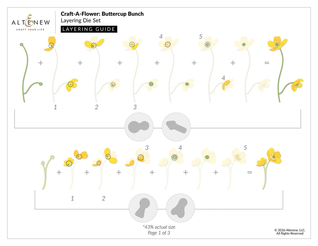 Craft-A-Flower: Buttercup Bunch Layering Die Set