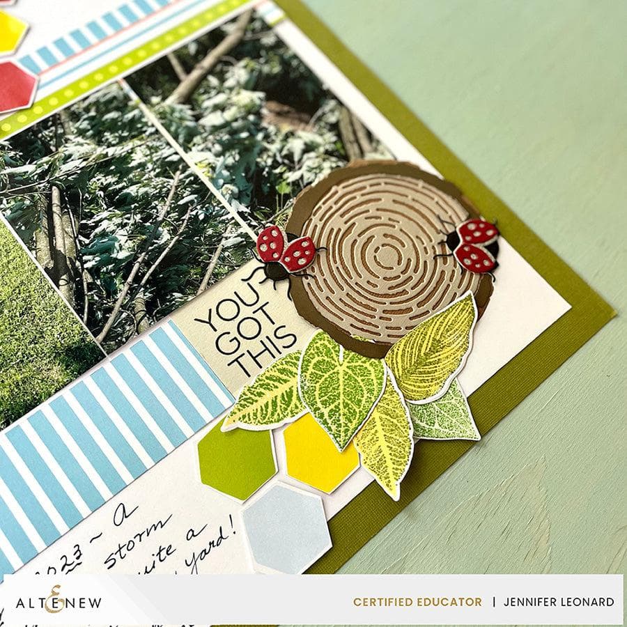 Part A-Glitz Art Craft Co.,LTD Dies Wood Cookie Die Set