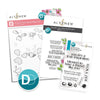 Dynamic Duo: Painted Blossoms & Add-on Die Bundle