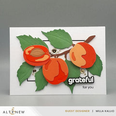 Stellar Sequins Bundle (6 Colors)