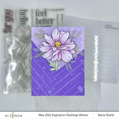 Raised Sentiments 3D Embossing Folder