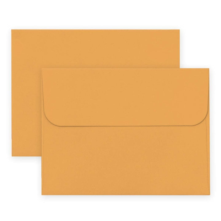 Crafty Necessities: Multi-Color Envelope Bundle