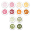 Botanical Brilliance Fresh Dye Ink Bundle