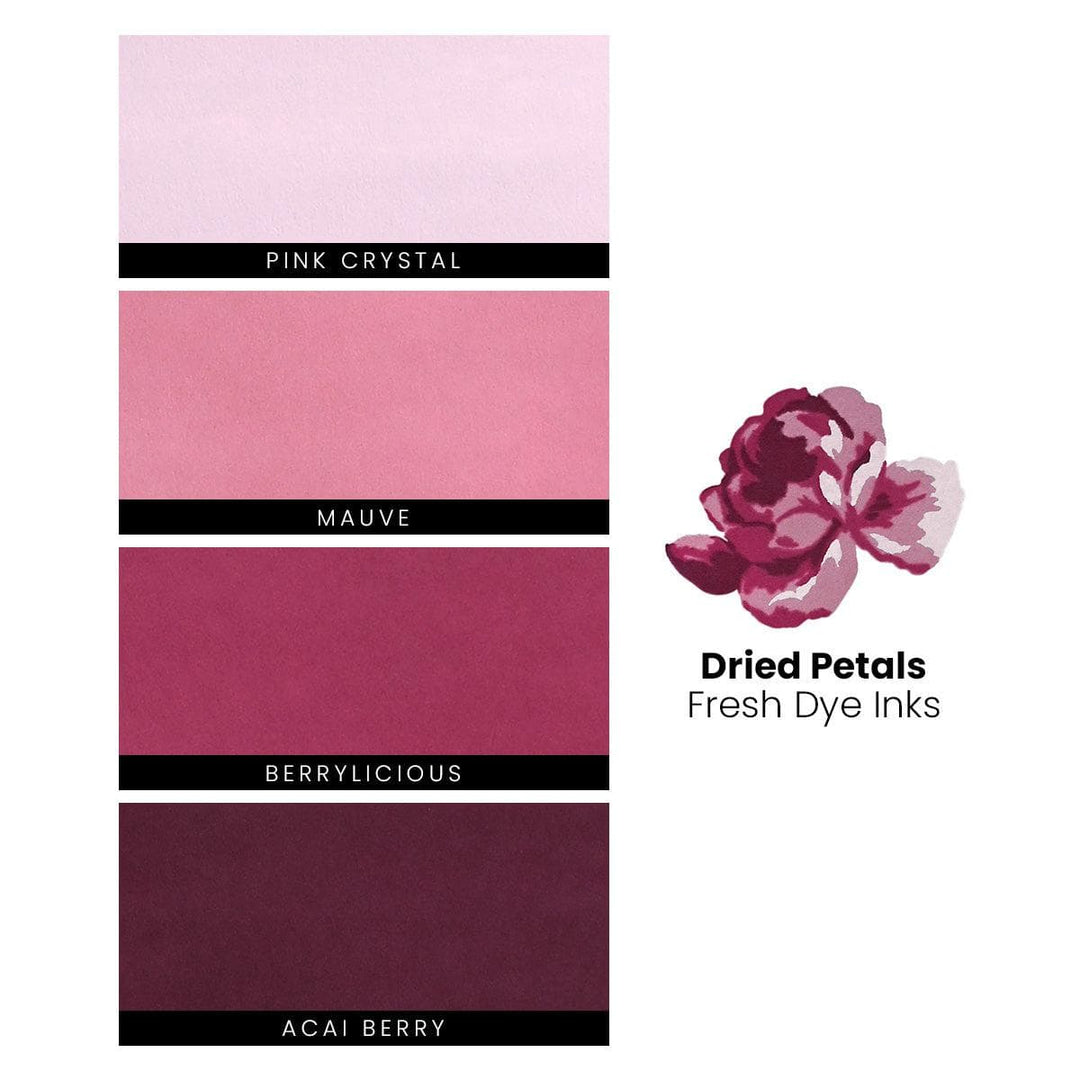 Dried Petals Fresh Dye Ink Mini Cube & Re-inker Bundle