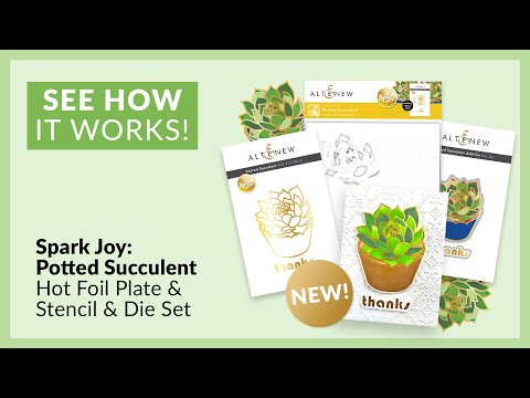 Spark Joy: Potted Succulent & Add-on Die Bundle