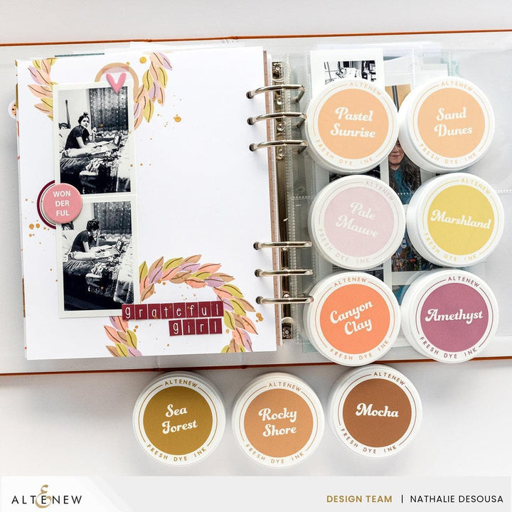 168 Fresh Dye Ink Reinker Bundle