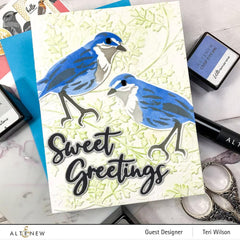 Altenew Spark Joy Spark Joy: Sweet Greetings