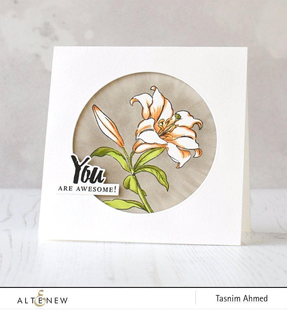 Altenew Stamp Bundle Better Together Stamp Bundle