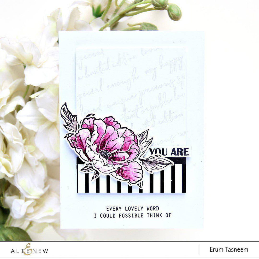 Altenew Stamp Bundle Better Together Stamp Bundle