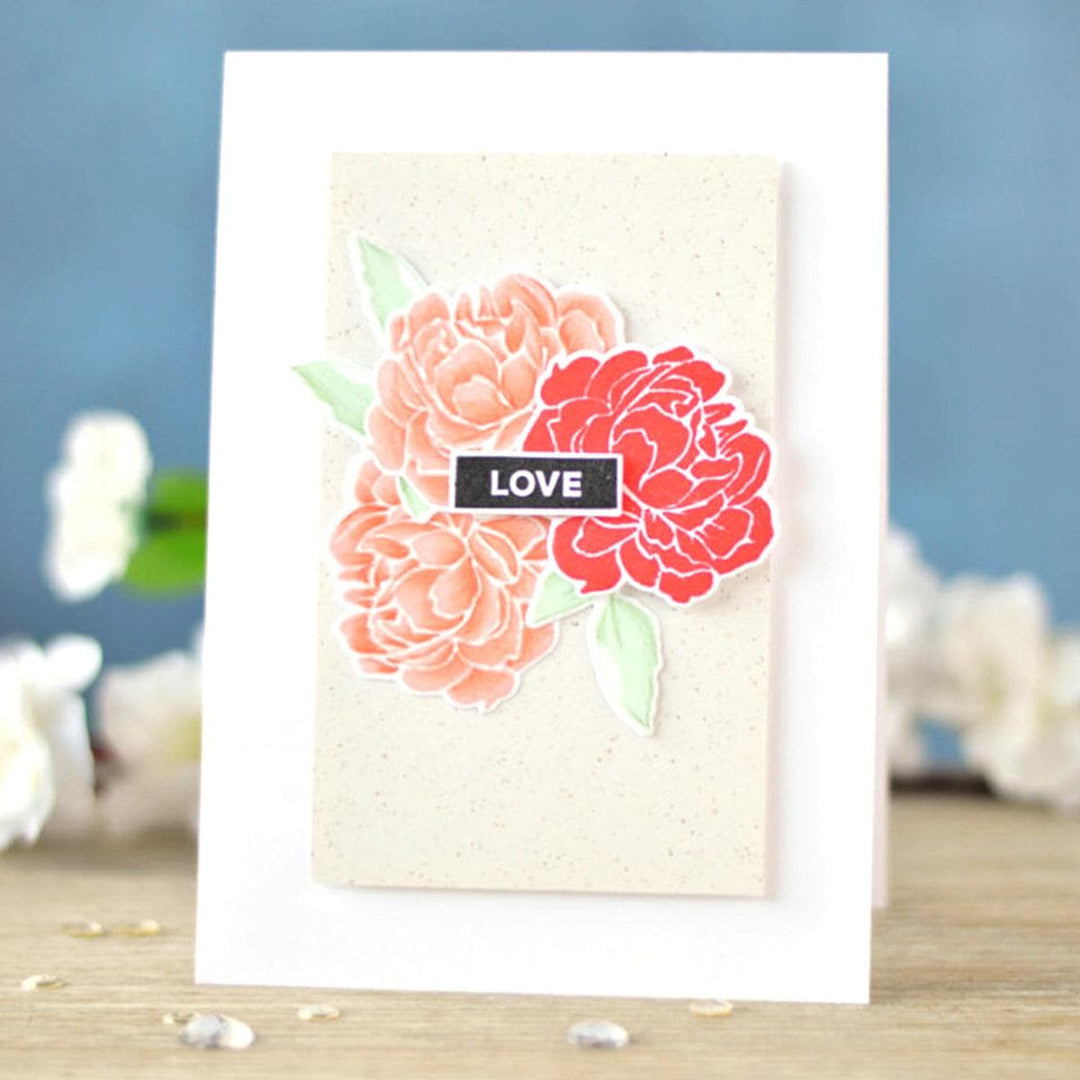 Altenew Stamp Bundle Wild and Free Stamp Bundle
