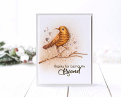 Altenew Stamp & Die Bundle Birds of a Feather Stamp & Die Bundle