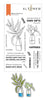 Altenew Stamp & Die Bundle Bloom with Grace Complete Bundle