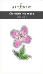 Clematis Montana