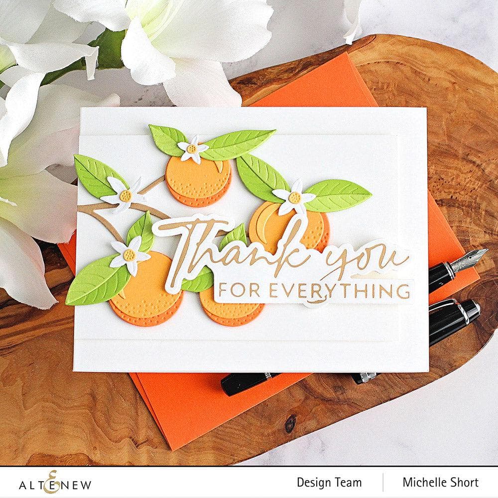 Altenew Stamp & Die Bundle Encouraging Sentiments