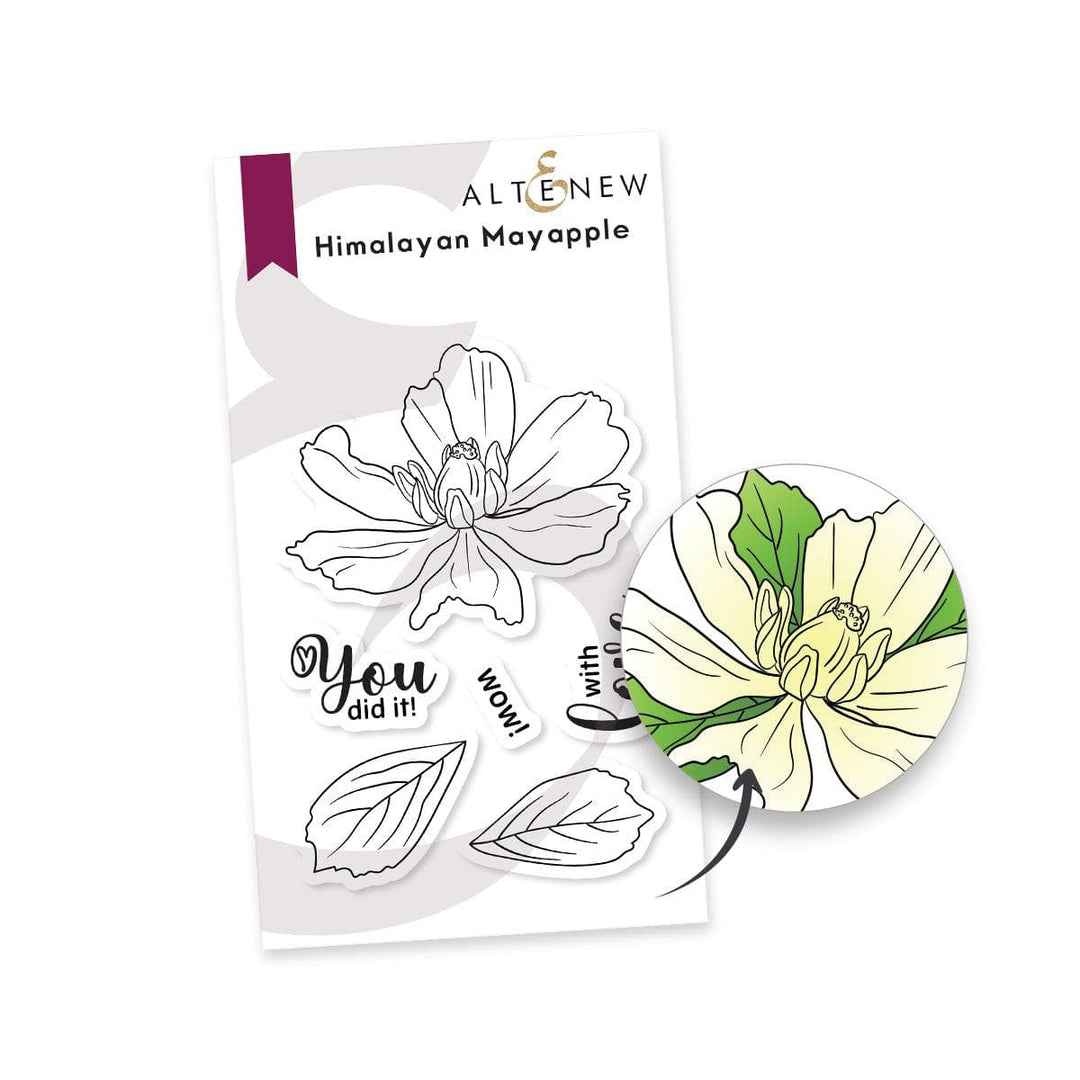 Himalayan Mayapple