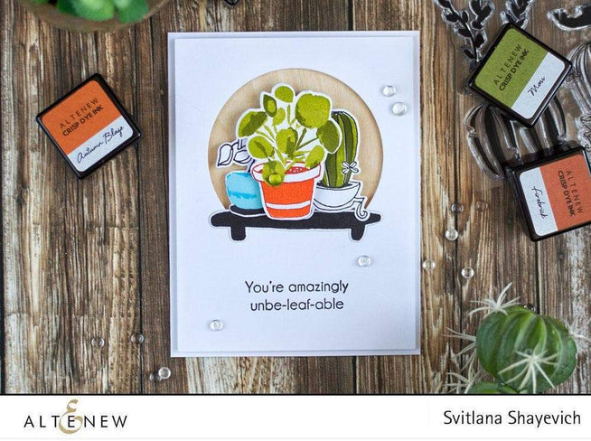 Altenew Stamp & Die Bundle Indoor Garden Stamp & Die Bundle