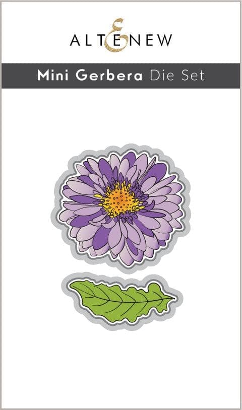 Mini Gerbera