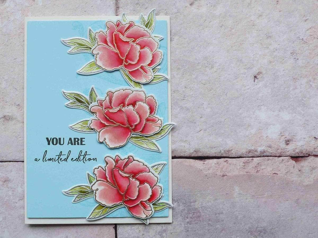 Altenew Stamp & Die Bundle Z - Better Together Coordinating Stamp & Die Bundle