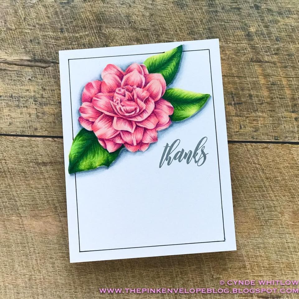 Altenew Stamp & Die Bundle The Beauty of Nature Coordinating Stamp & Die Bundle