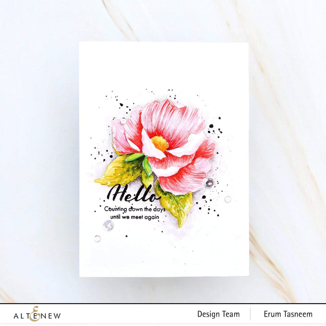Altenew Stamp & Die & Stencil Bundle Airbrushed Flowers Stamp & Die & Mask Stencil Bundle