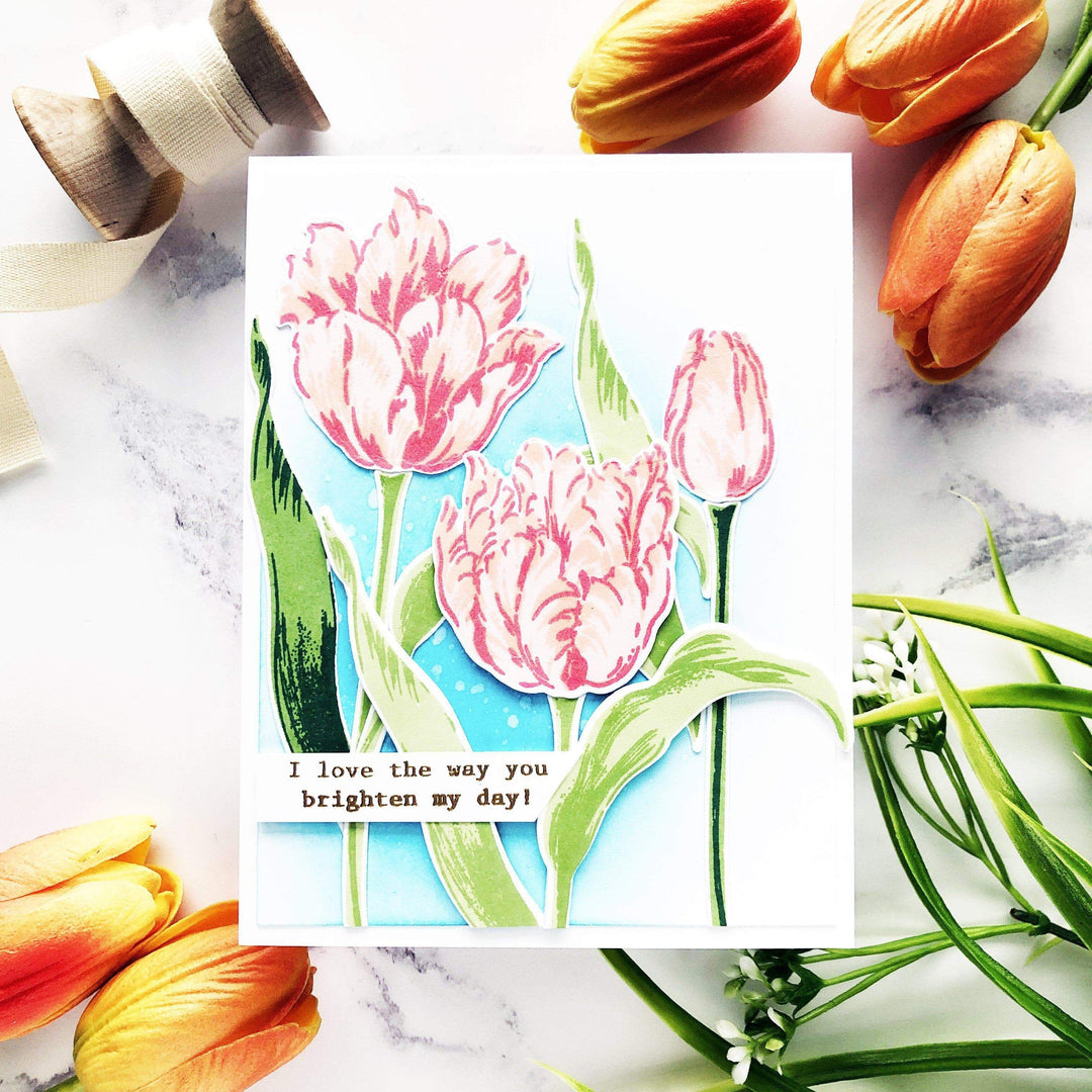 Altenew Stamp & Die & Stencil Bundle Exotic Tulips Stamp & Die & Mask Stencil Bundle
