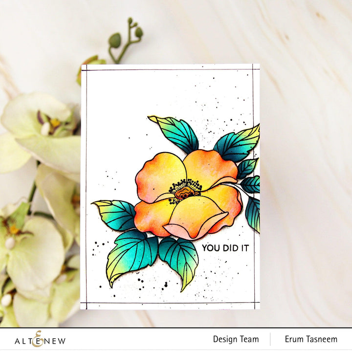 Altenew Stamp & Die & Stencil Bundle Nostalgic Florals Complete Bundle
