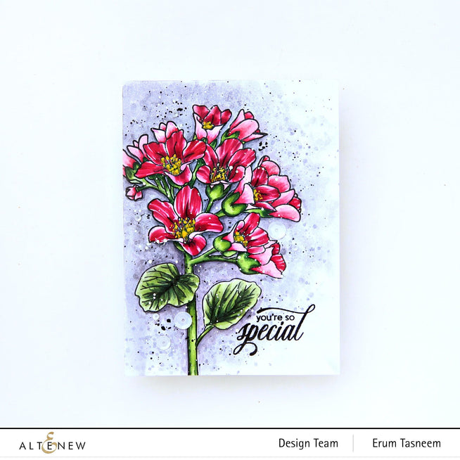 Altenew Stamp & Die & Stencil Bundle Bergenia Builder