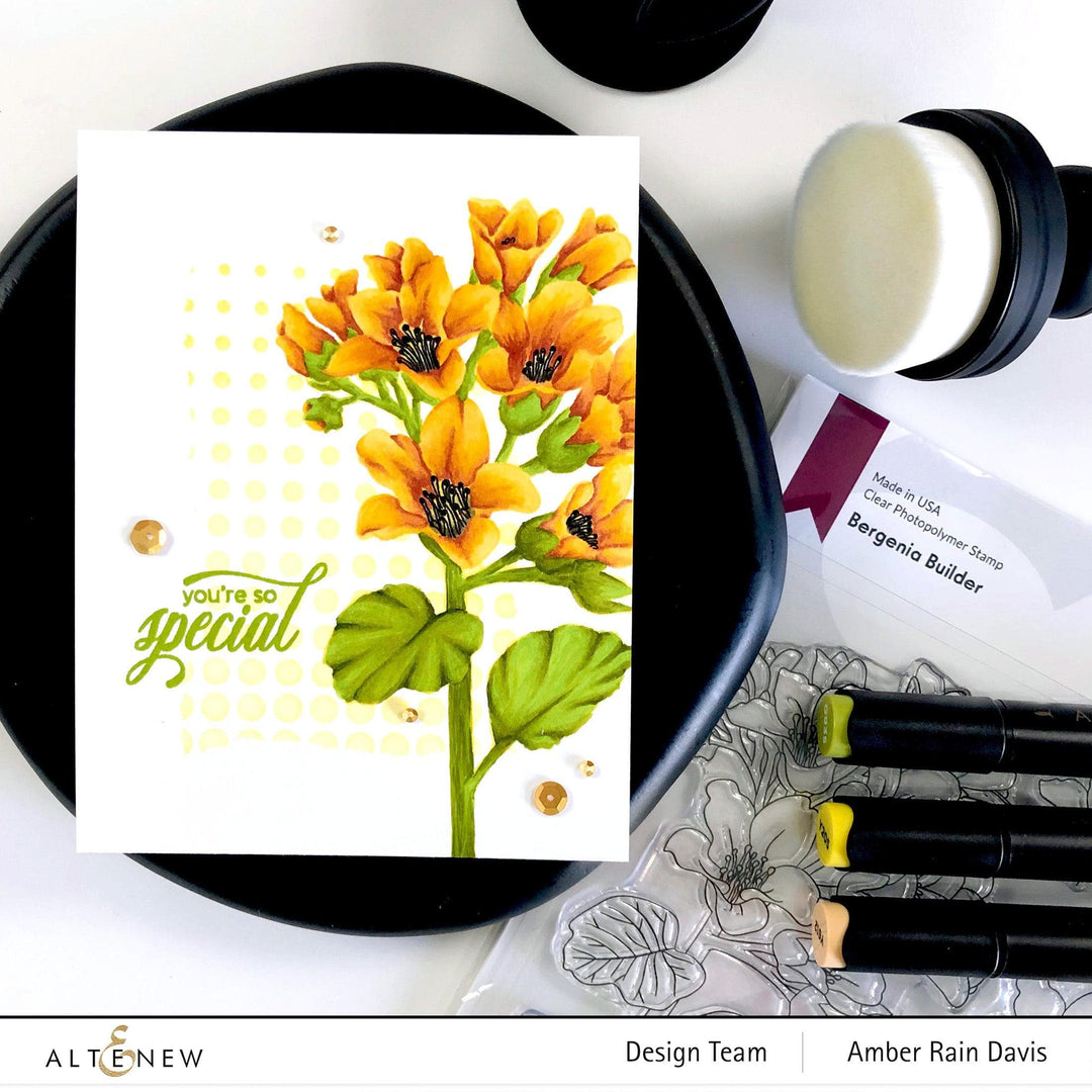 Altenew Stamp & Die & Stencil Bundle Bergenia Builder