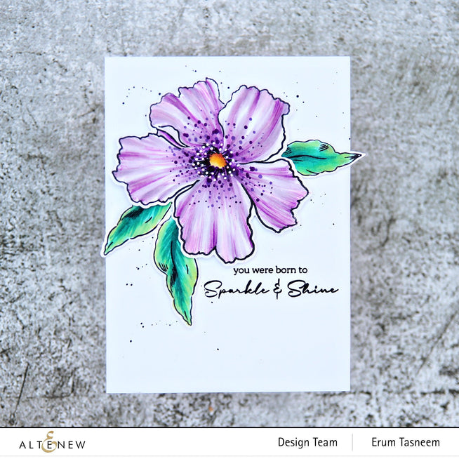 Altenew Stamp & Die & Stencil Bundle Sparkled Stamp & Die & Mask Stencil Bundle